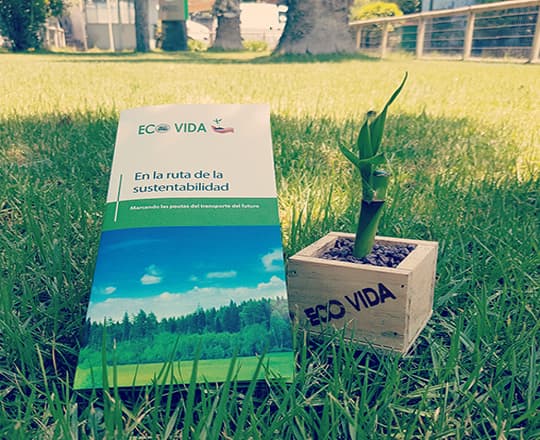 Personal de Ecovida trabajando en logística